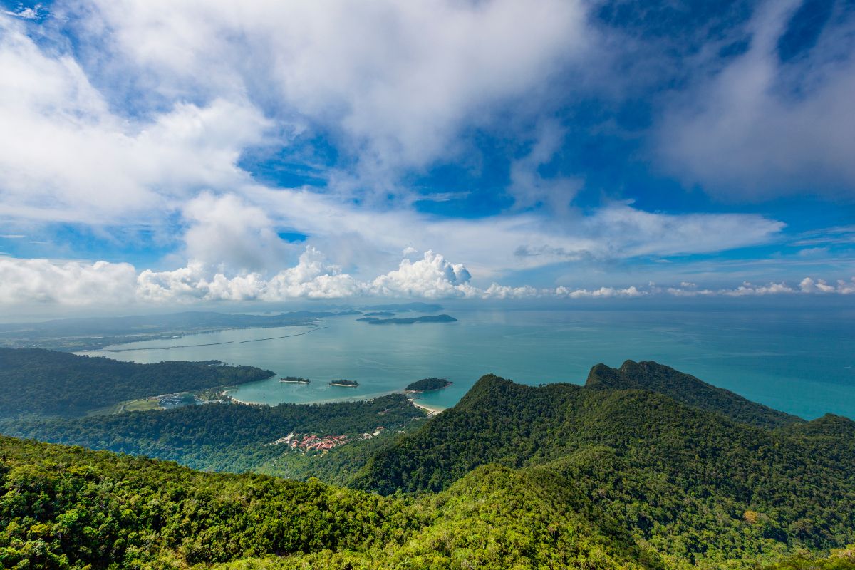 Background Prakiraan